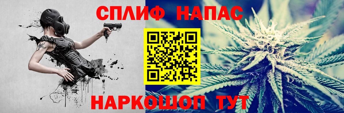 Бошки Шишки план Махачкала
